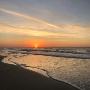 Meet your Posher, Sophie